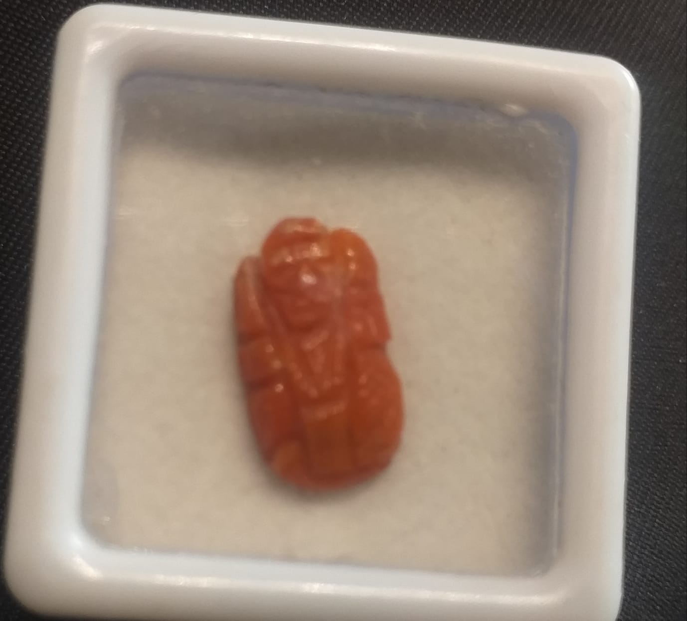 Coral