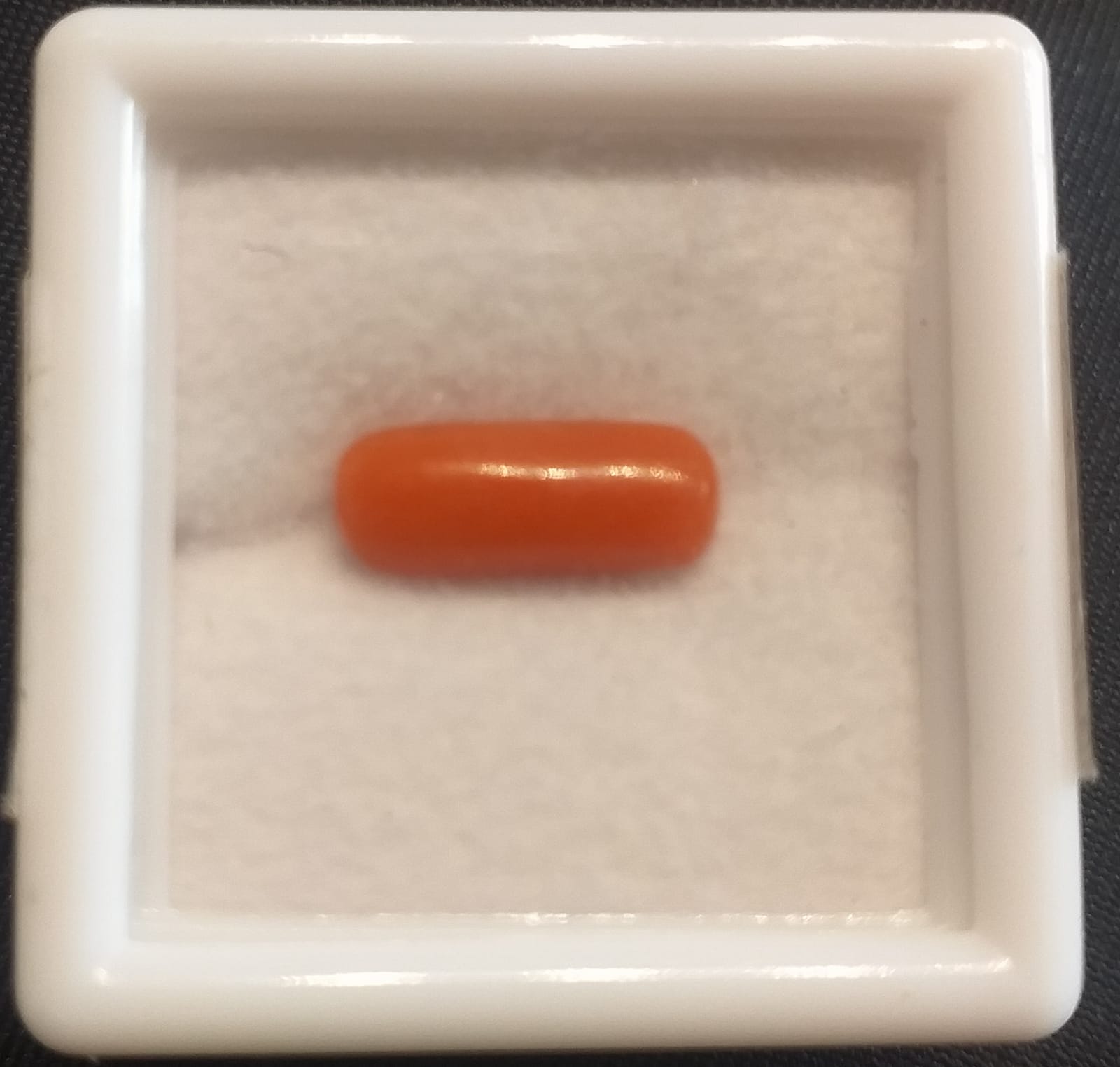 Natural Coral